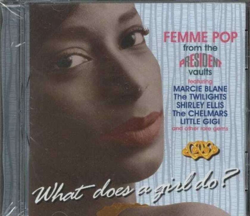 Diverse Artister  What Does A Girl Do  CD