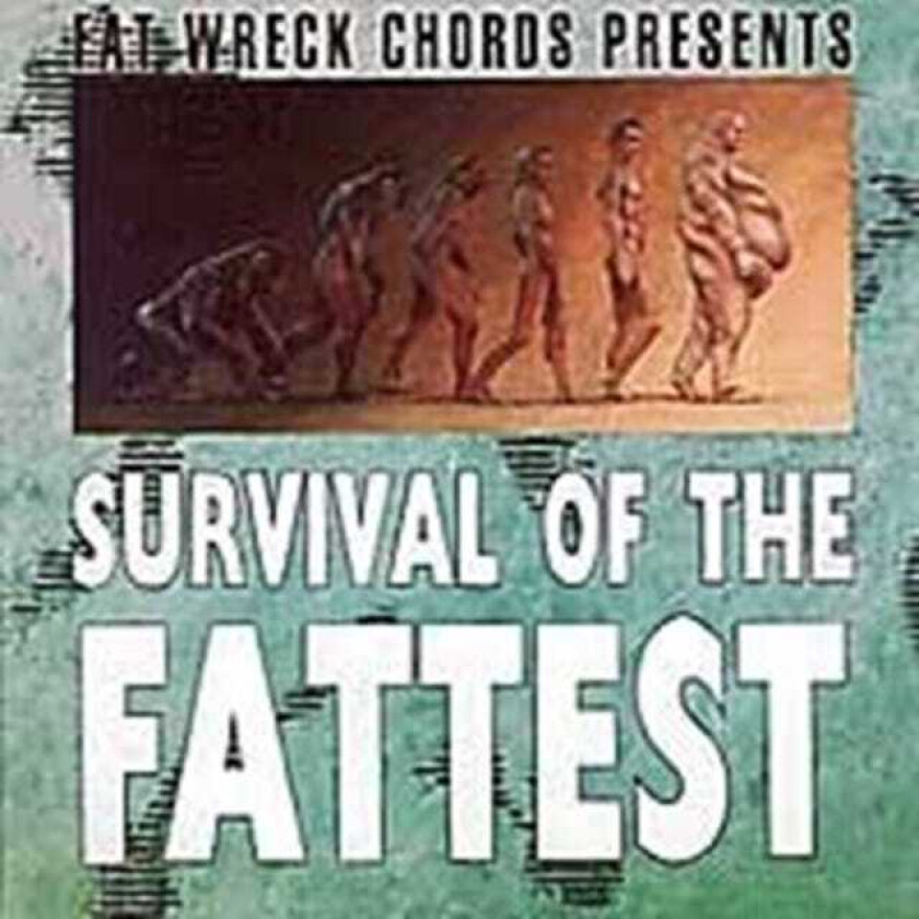 Diverse Artister  Survival Of The Fattest  CD