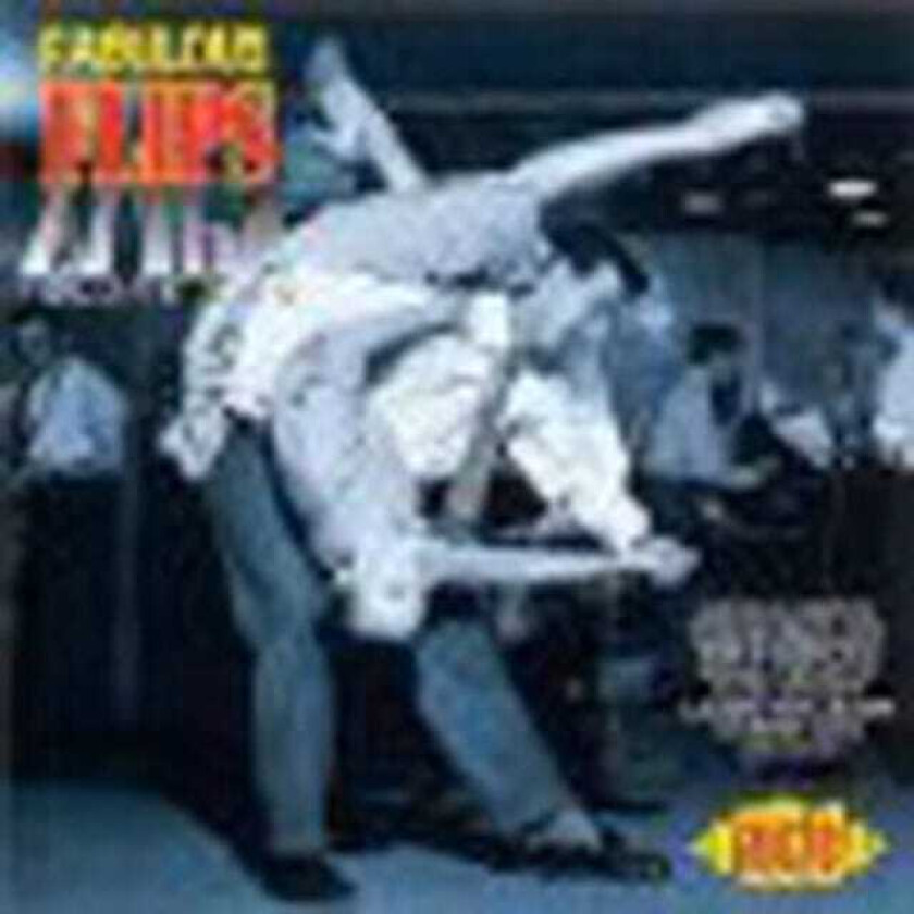Diverse Artister Fabulous Flips CD