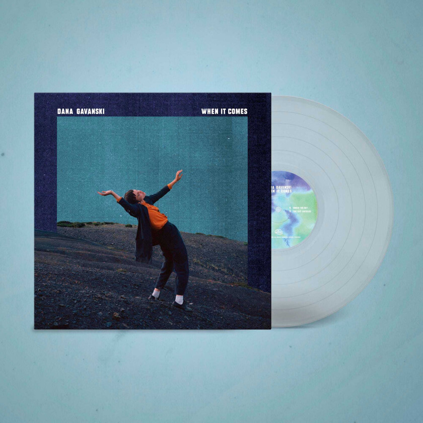 Dana Gavanski When It Comes LP/Vinyl