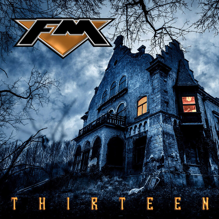 FM Thirteen LP/Vinyl