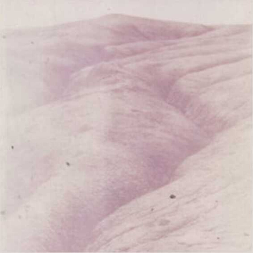 Theodore Wild Ride Theodore Wild Ride LP/Vinyl