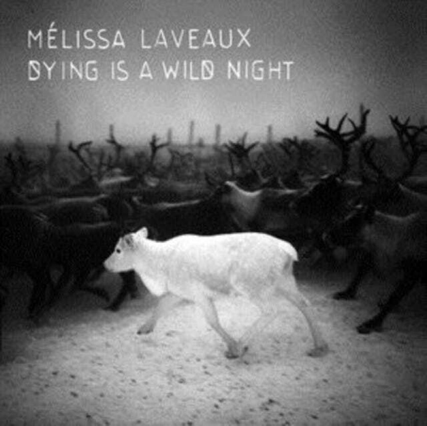 Mélissa Laveaux Dying Is A Wild Night CD
