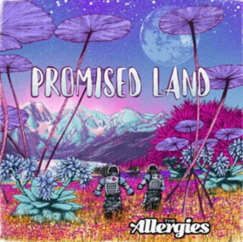 The Allergies Promised Land LP/Vinyl
