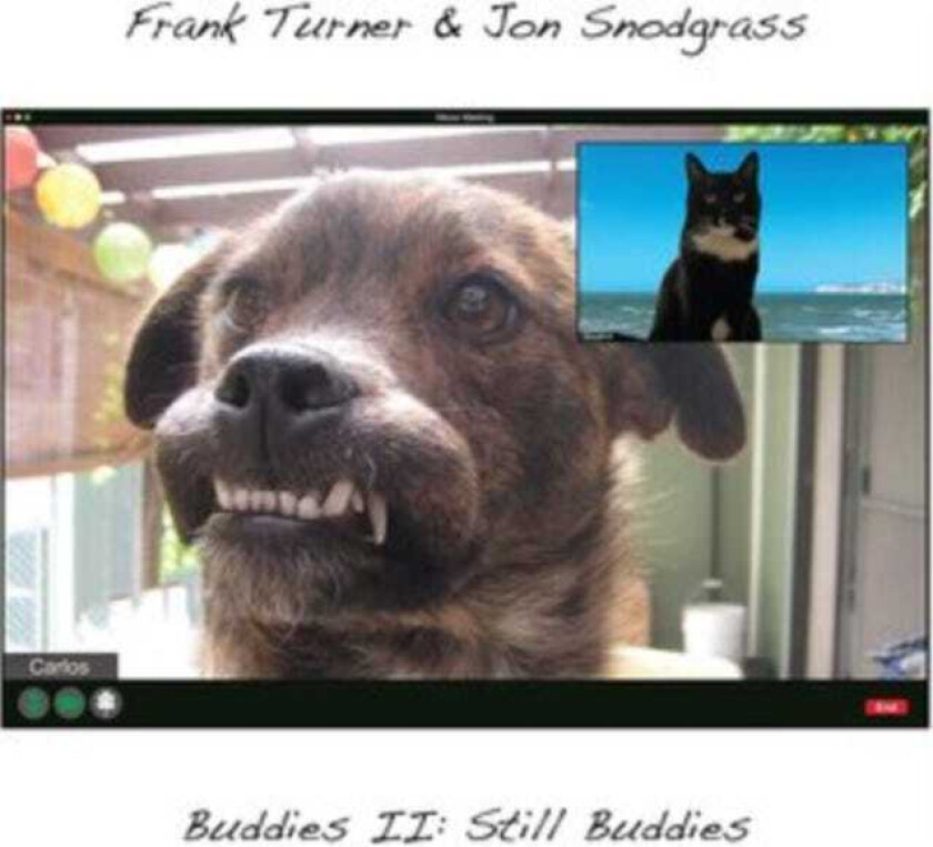 Frank Turner, Jon Snodgrass Buddies II: Still Buddies LP/Vinyl