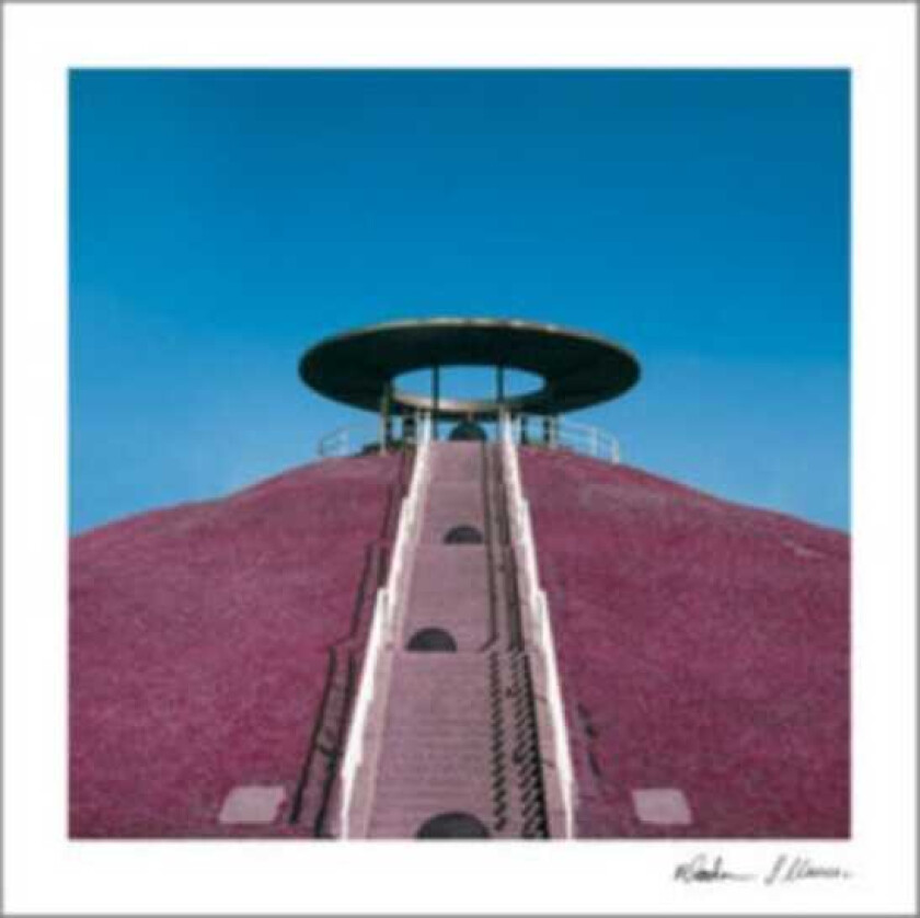Diverse Artister Das Wasteland: Berlin LP/Vinyl