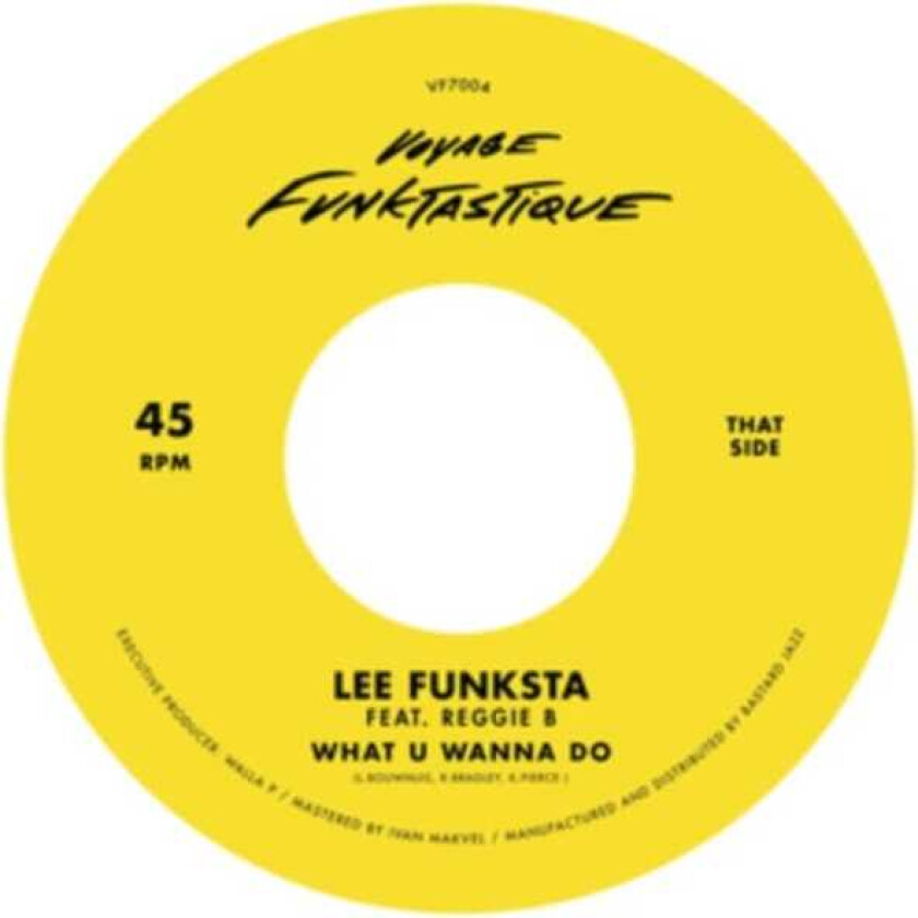 Lee Funksta What U Wanna Do/The Formula LP/Vinyl