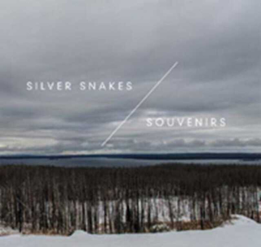 WINTER SONGS LP/Vinyl
