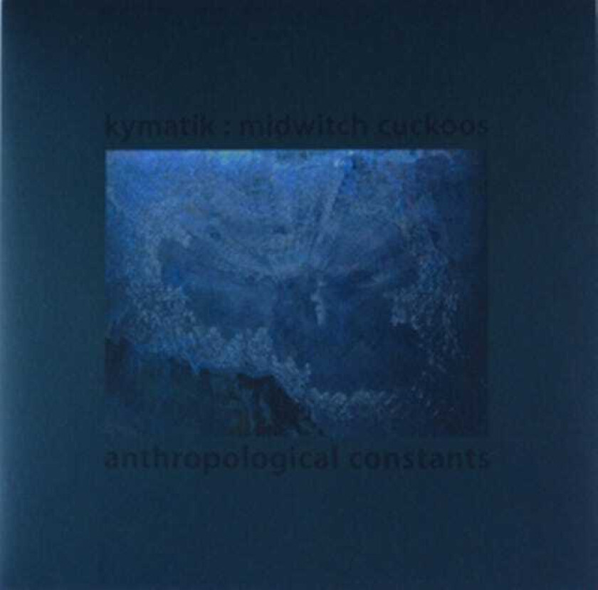 Anthropological Constants LP/Vinyl