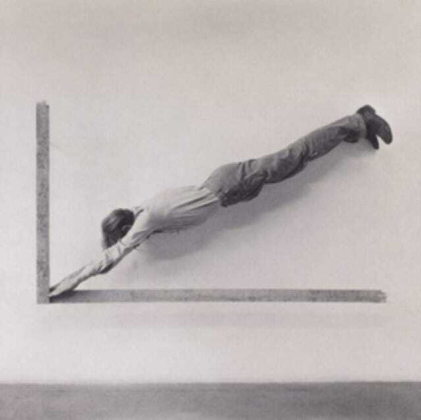 Insignificant Whip LP/Vinyl