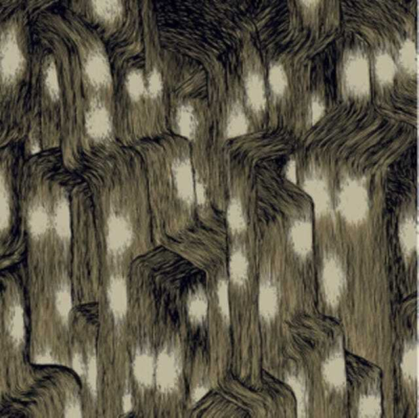 Trevor De Brauw Uptown LP/Vinyl