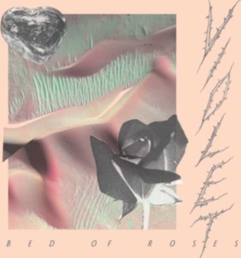 Bed Of Roses LP/Vinyl