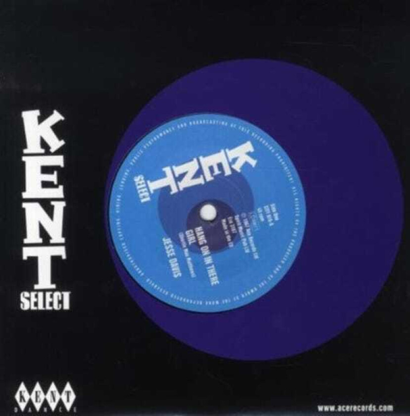 HANG ON IN THERE GIRL LP/Vinyl