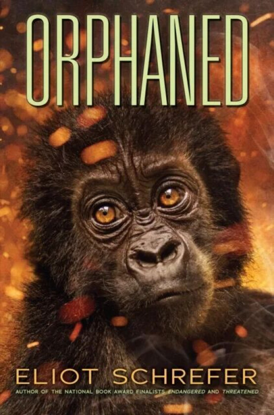 Orphaned (Ape Quartet #4) av Eliot Schrefer