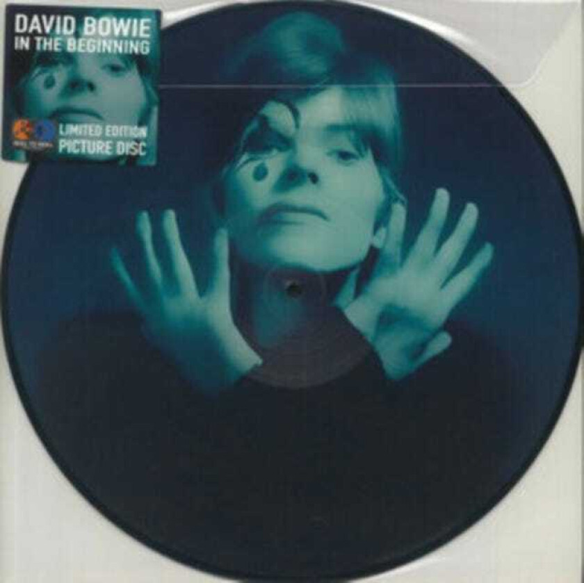 David Bowie In The Beginning LP/Vinyl