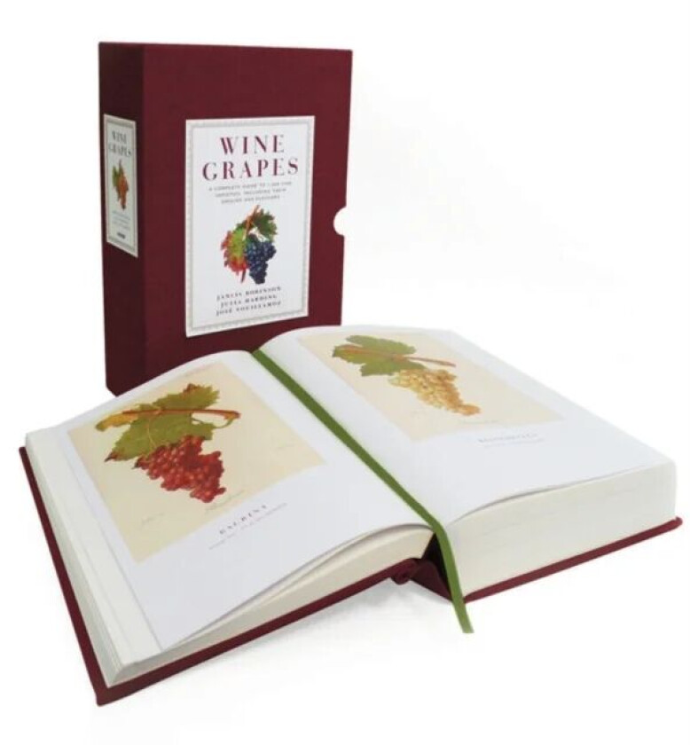 Wine Grapes av Jancis Robinson, Julia Harding, Jose Vouillamoz