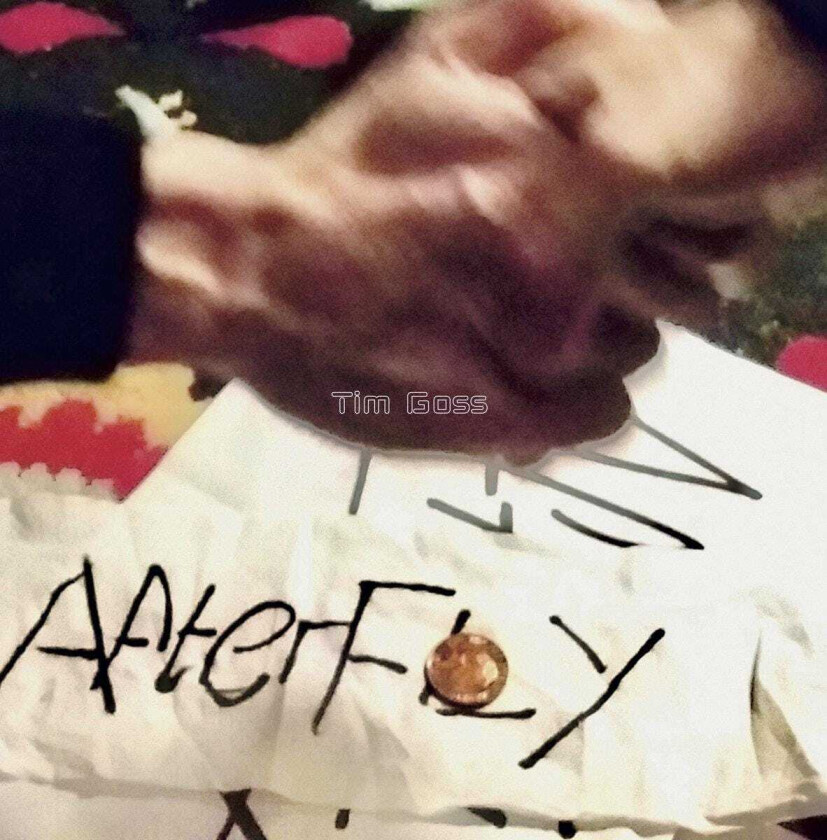 Tim Goss Afterfly LP/Vinyl