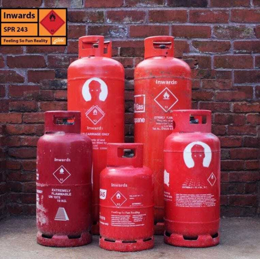 Inwards Feeling So Fun Reality CD