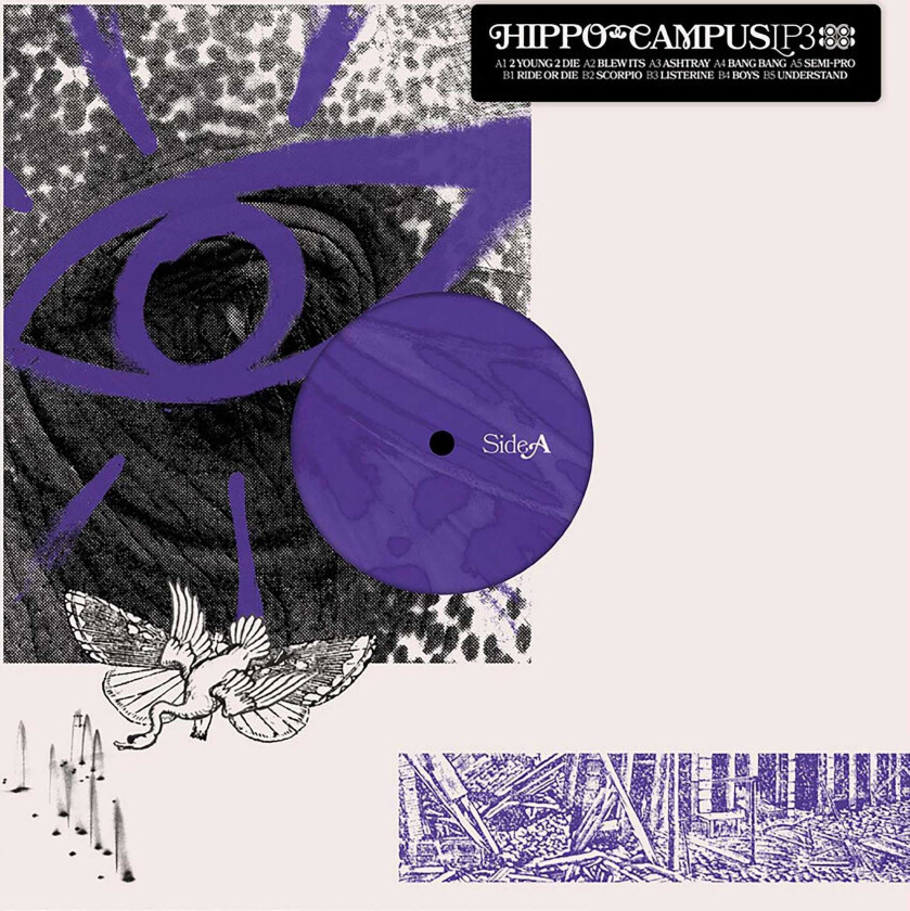 Hippo Campus LP3 LP/Vinyl