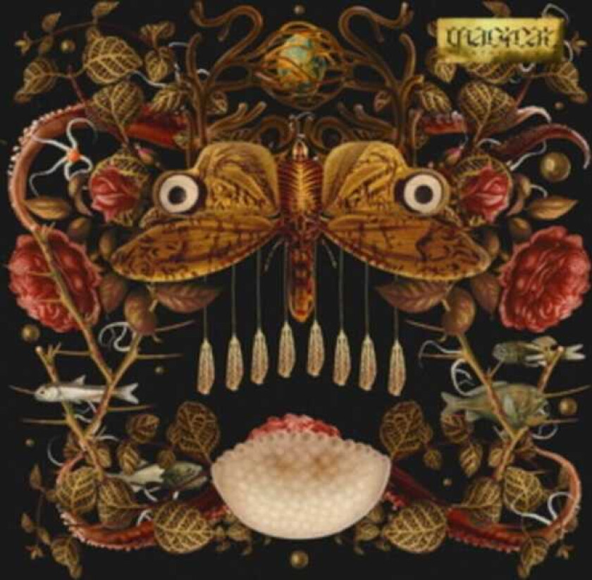 Ze In The Clouds Magical LP/Vinyl