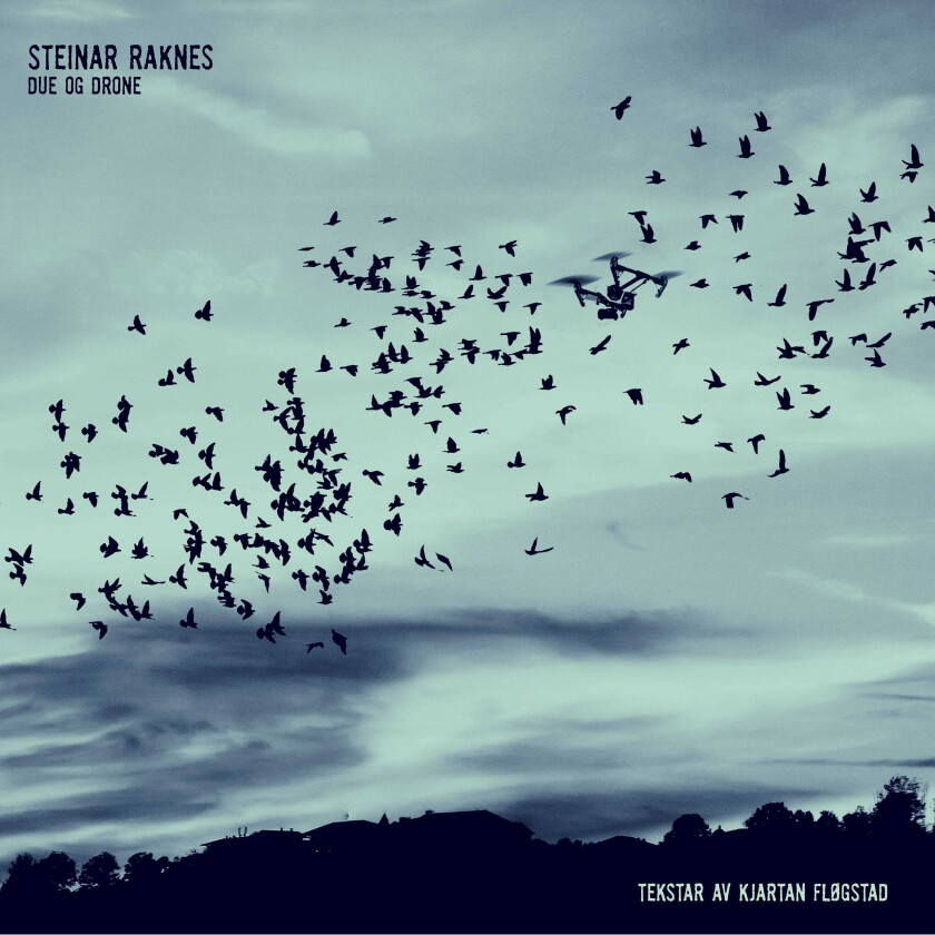 Steinar Raknes Due Og Drone LP/Vinyl