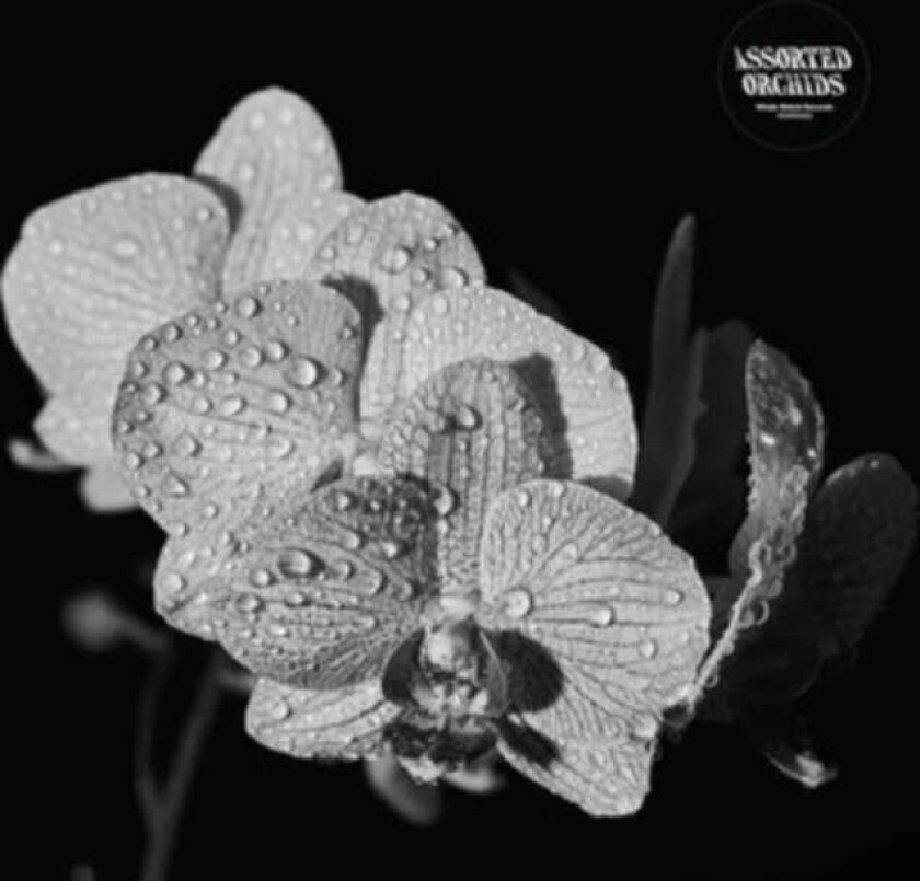 Assorted Orchids Assorted Orchids LP/Vinyl