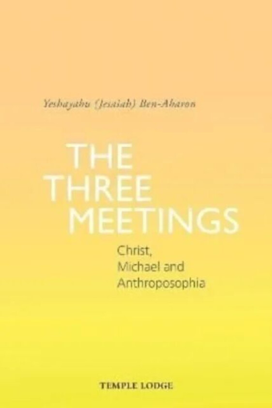 The Three Meetings av Yeshayahu (Jesaiah) Ben-Aharon