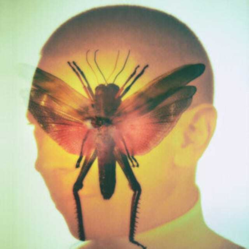 Maelstrom (FR) Rhizome LP/Vinyl