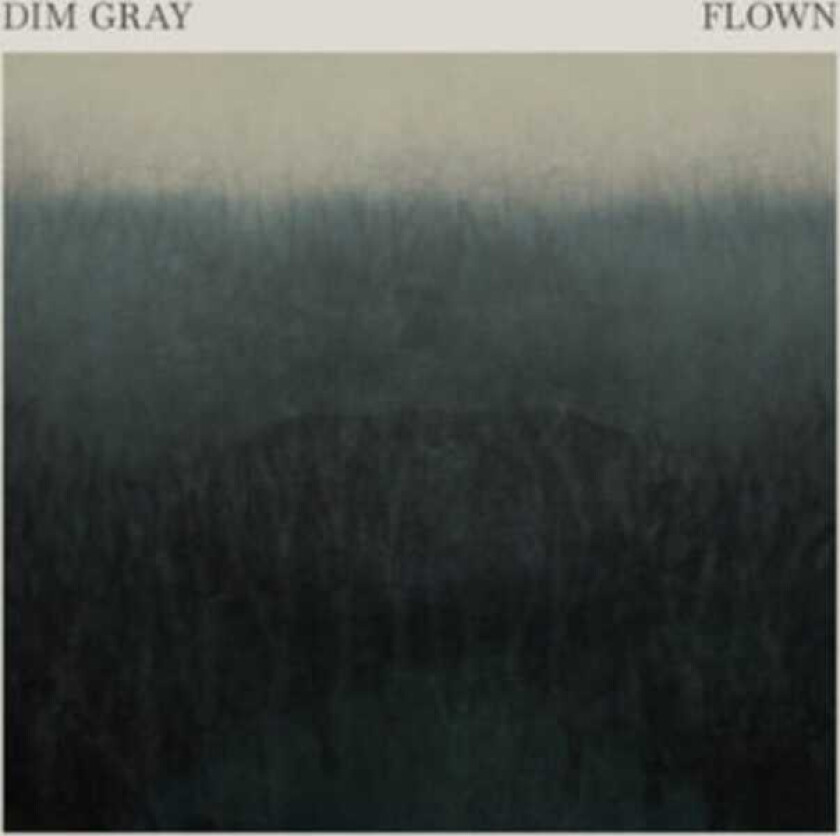 Dim Gray Flown LP/Vinyl