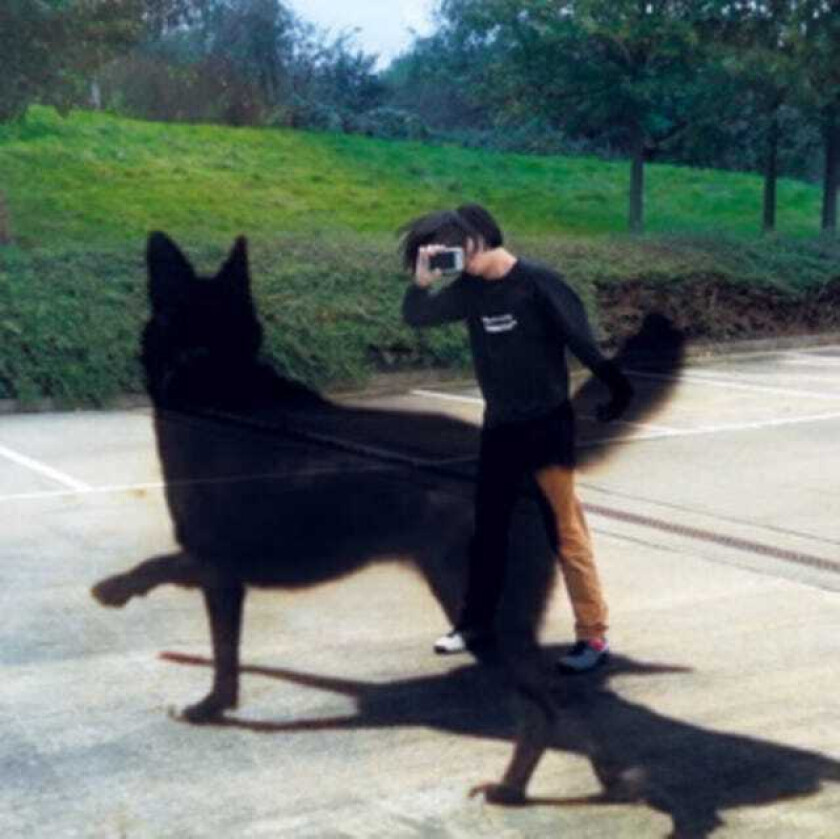 Scott Young Post Peace LP/Vinyl