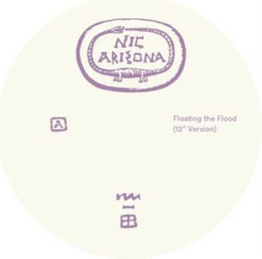 Nic Arizona Floating The Flood LP/Vinyl