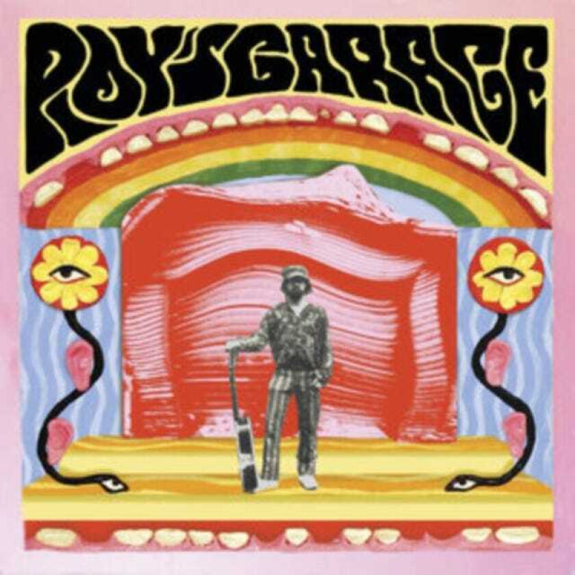 Roy Roy's Garage LP/Vinyl