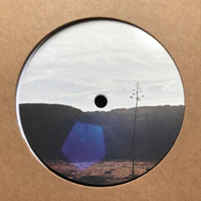 Jakob Seidensticker After We're All Gone EP LP/Vinyl