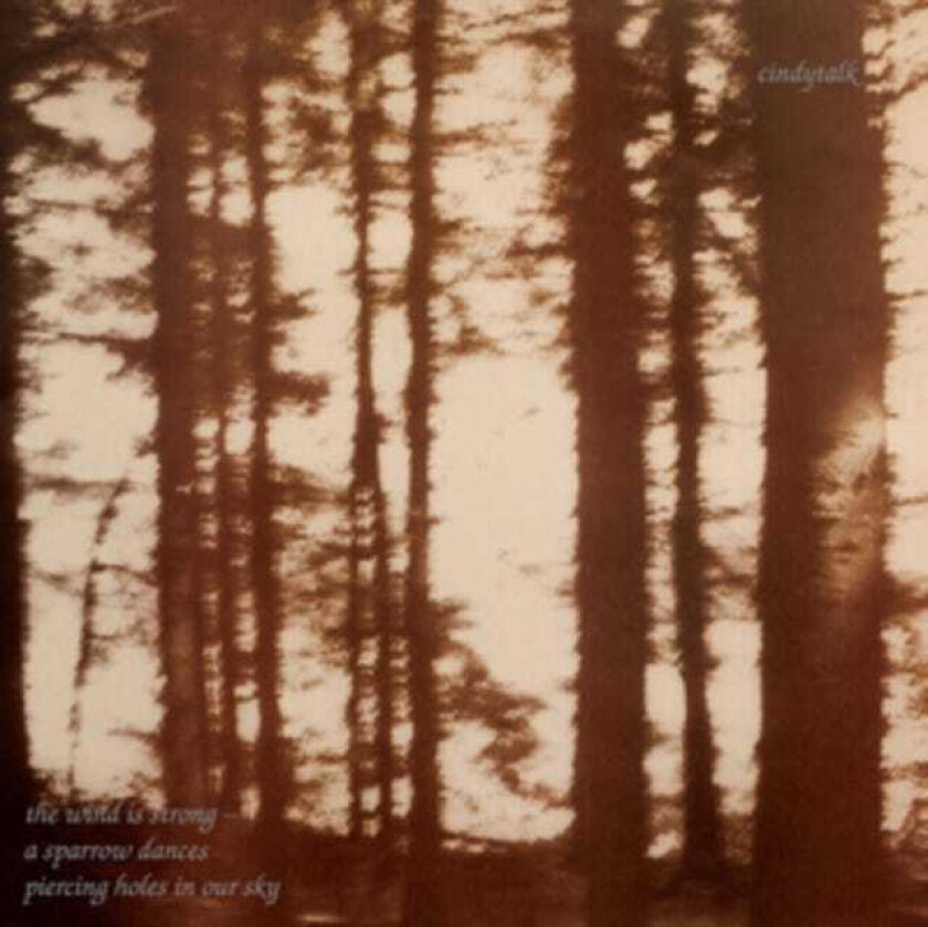 Cindytalk The Wind Is Strong... LP/Vinyl