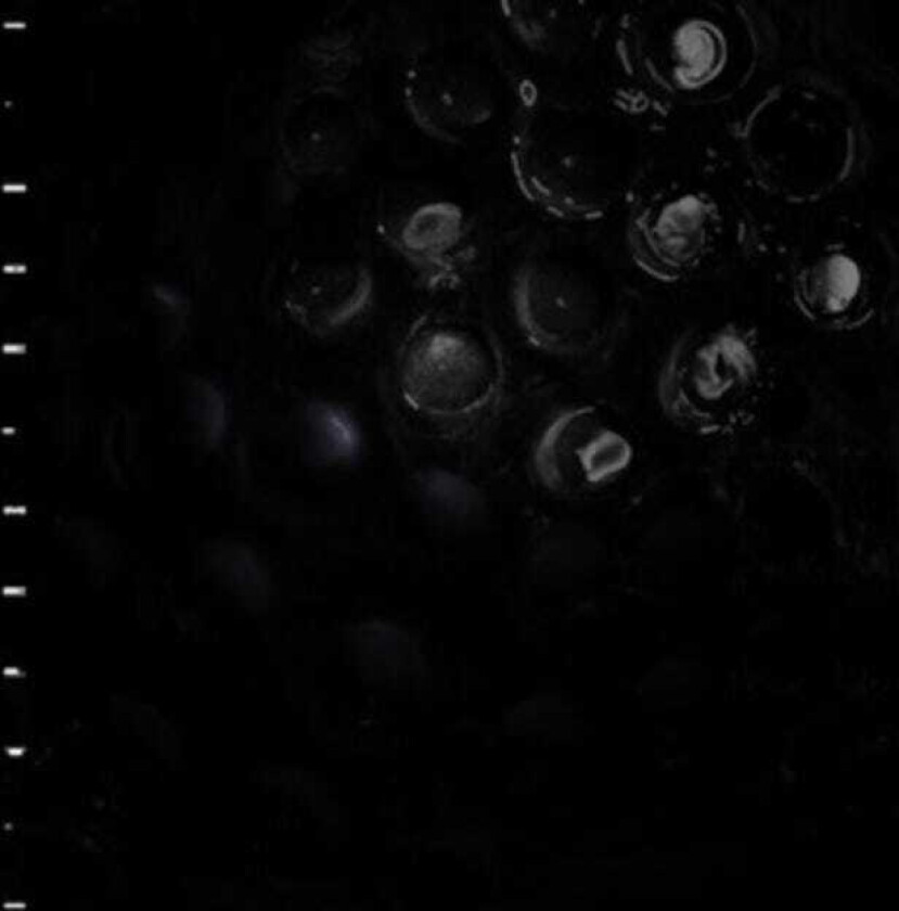 Crumb Ice Melt LP/Vinyl