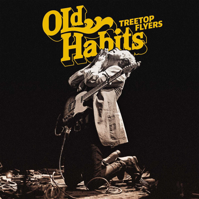 Treetop Flyers : Old Habits CD