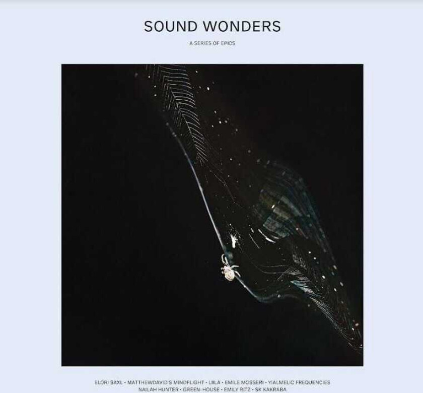Diverse Artister Sound Wonders LP/Vinyl