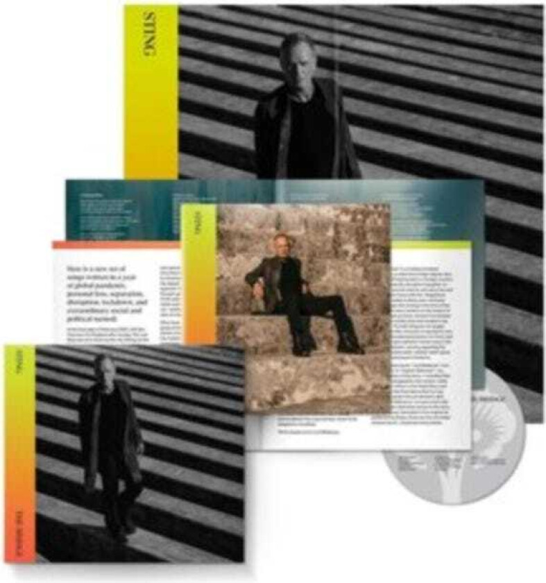 Sting The Bridge CD