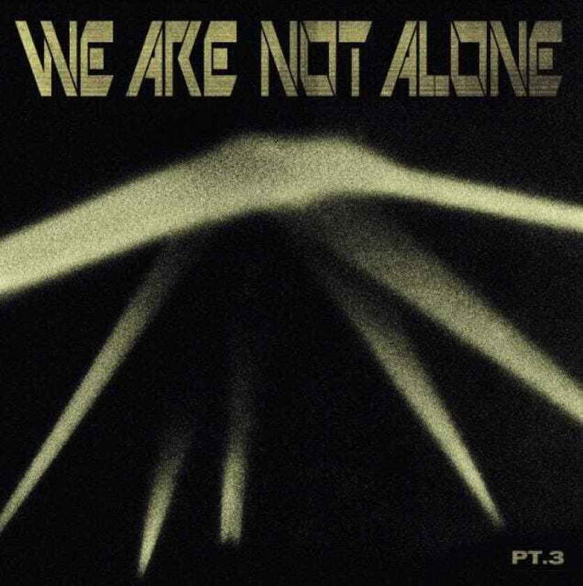 Diverse Artister We Are Not Alone Part 3 LP/Vinyl