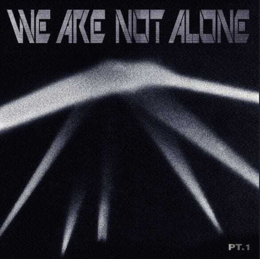 Diverse Artister  We Are Not Alone  Part 1  LP/Vinyl