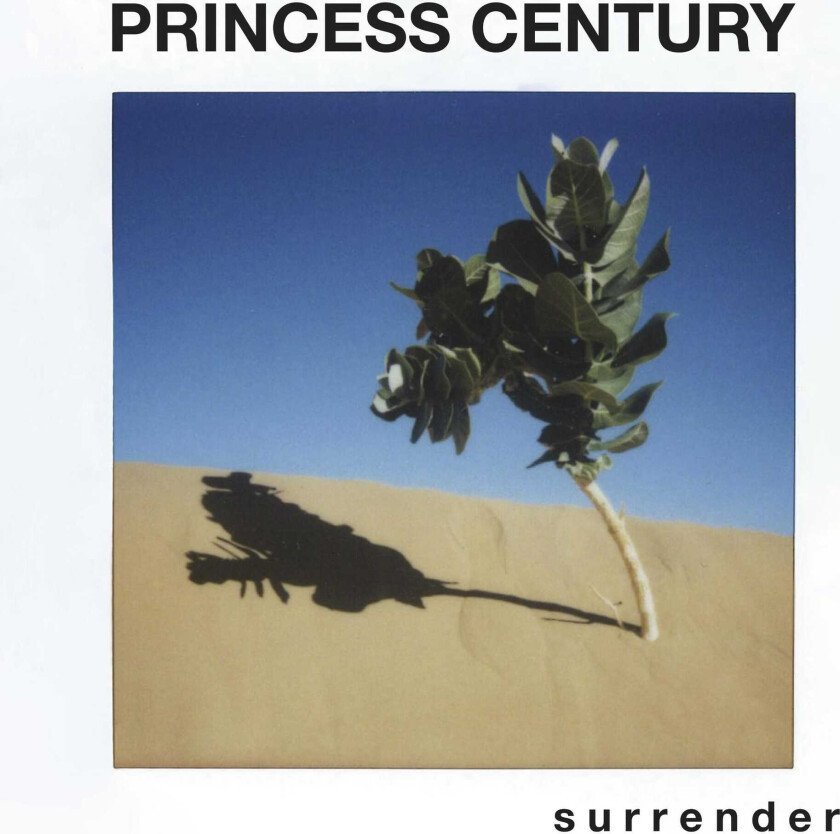 Princess Century S U R R E N D E R LP/Vinyl