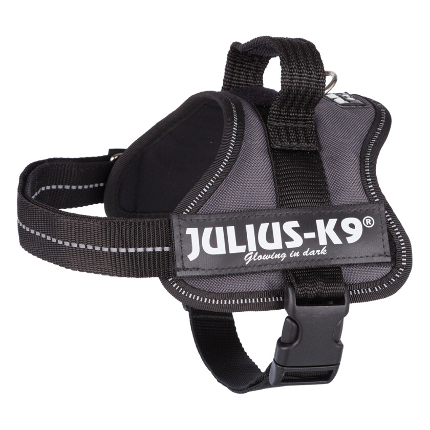 JULIUS-K9® hundesele, antrasitt - Mini/M: 51-67 cm