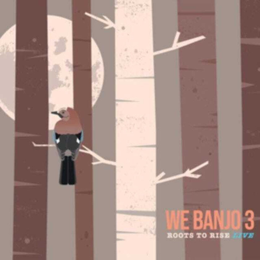 We Banjo 3  Roots To Rise Live  CD