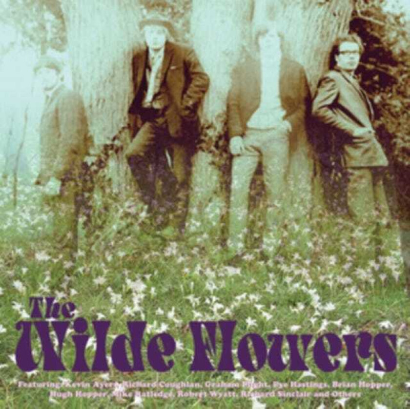 The Wilde Flowers The Wilde Flowers CD