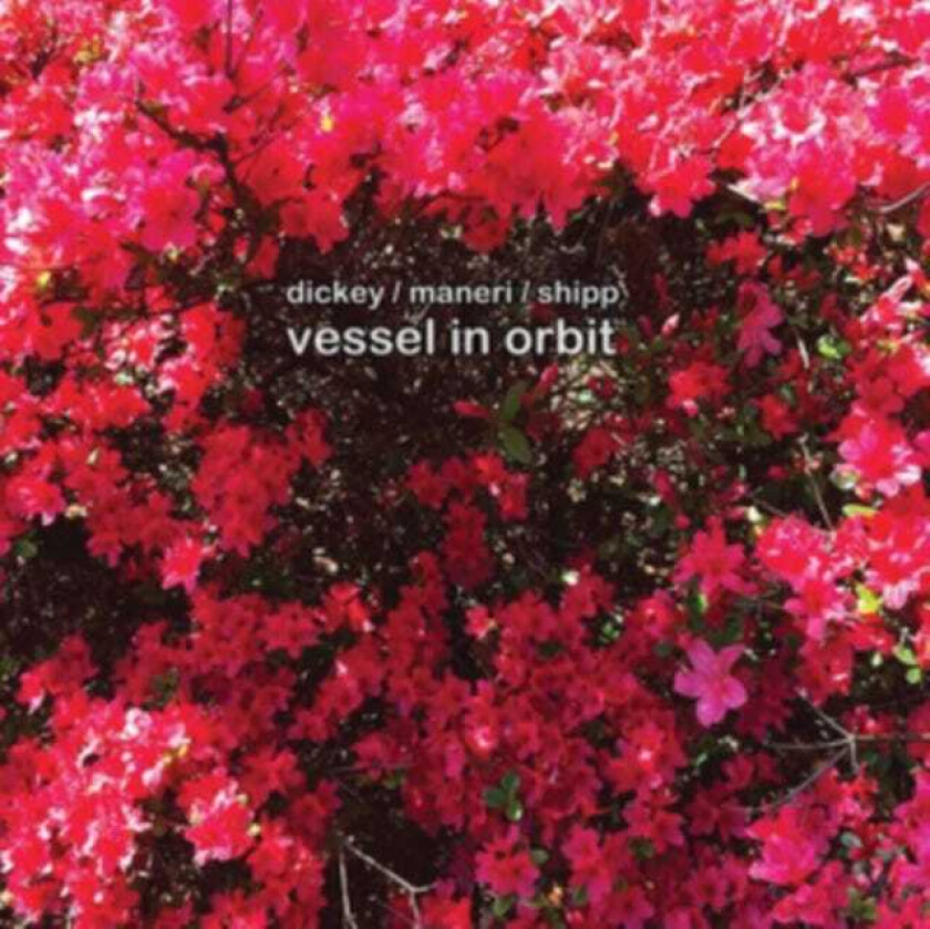 Whit Dickey, Mat Maneri, Matthew Shipp Vessel In Orbit CD