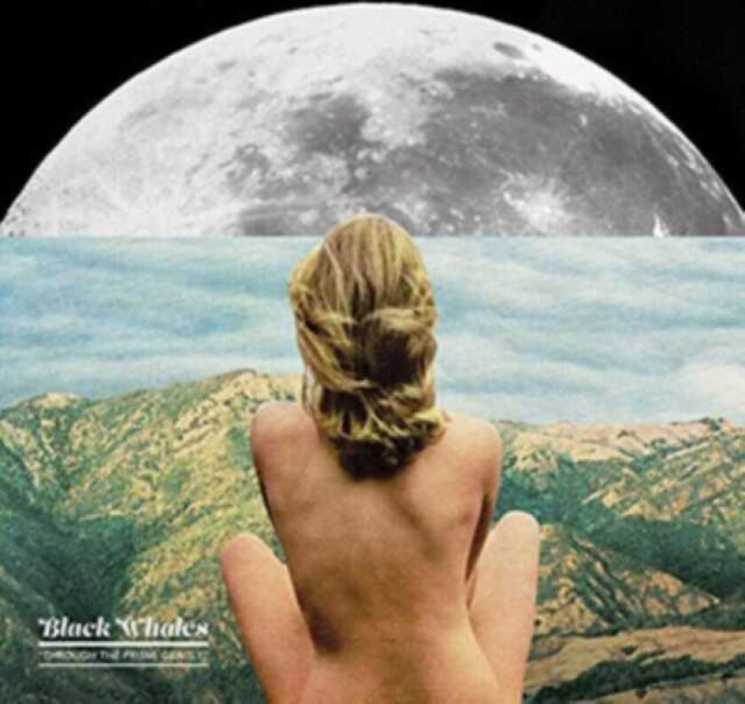 Black Whales Through The Prism Gently CD