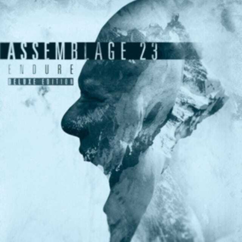 Assemblage 23 Endure CD