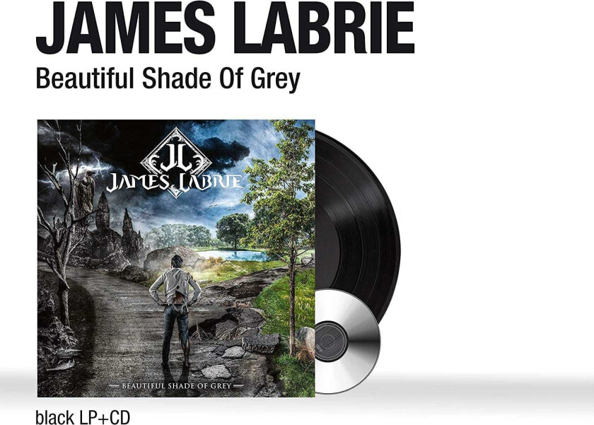 James LaBrie (Dream Theater) Beautiful Shade Of Grey LP/Vinyl