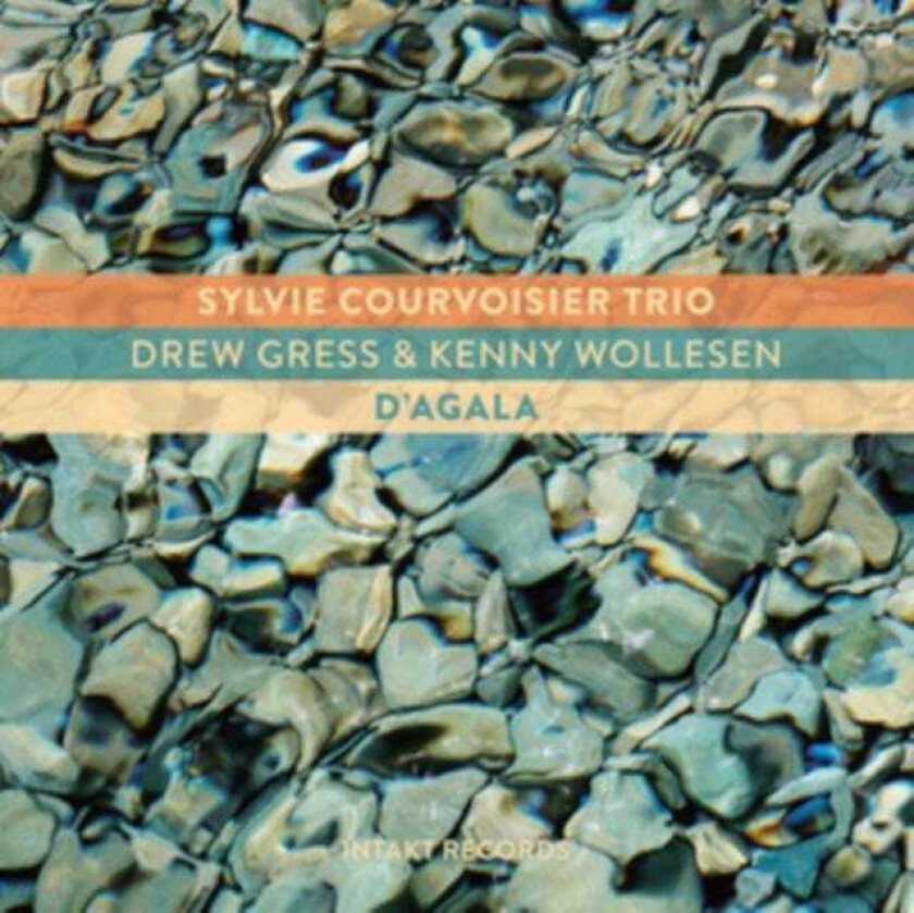 Sylvie Courvoisier D'agala CD