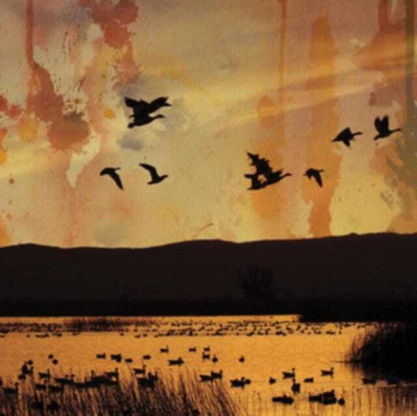 Stellar Descent Fading CD